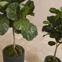 Fiddle Leaf Tree Real Touch 1.32m