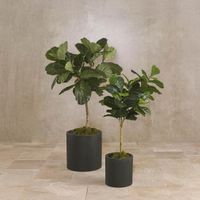Fiddle Leaf Tree Real Touch 1.32m