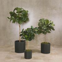 Fiddle Leaf Tree Real Touch 1.32m