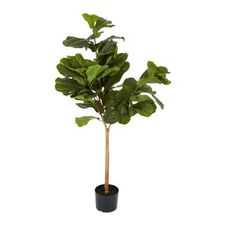 Fiddle Leaf Tree Real Touch 1.32m