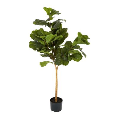 Fiddle Leaf Tree Real Touch 1.32m