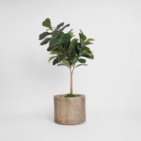 Fiddle Leaf Tree Real Touch 1.32m