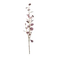 Eucalyptus Spray Burgundy 90cm