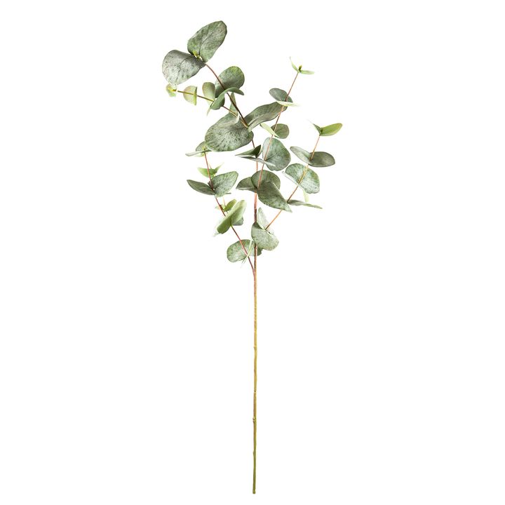 Eucalyptus Spray Mixed Sized Leaves 87cm