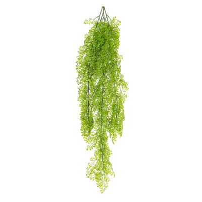 Fern Hanging 80cm