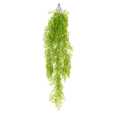 Fern Hanging 80cm