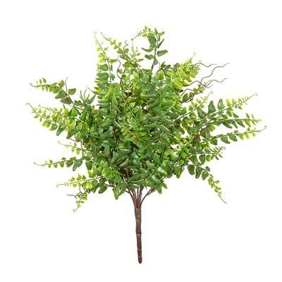 Fern Bush 45cm