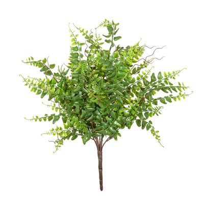 Fern Bush 45cm