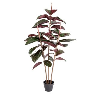 Rubber Tree Real Touch 1.45m