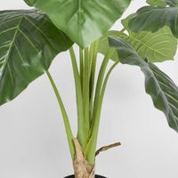 Philo Real Touch 90cm