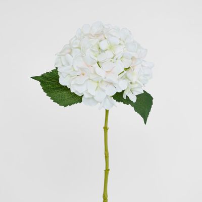 Hydrangea Stem 62cm White