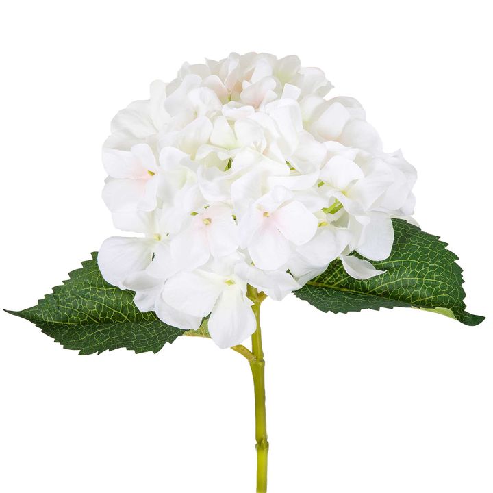 Hydrangea Stem 62cm White