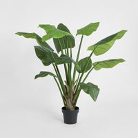 Philo Tree Real Touch 1.4m