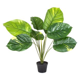 Pothos Real Touch 70cm