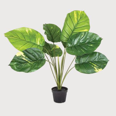 Pothos Real Touch 70cm