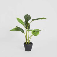 Bird of Paradise Real Touch 64cm