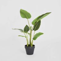 Bird of Paradise Real Touch 64cm