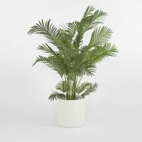 Areca Palm Tree Real Touch 170cm
