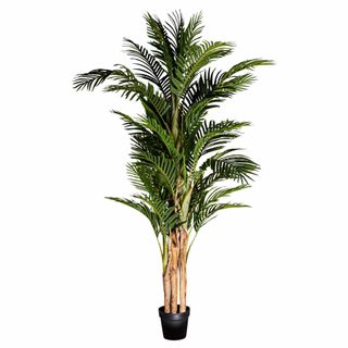 Real Touch Palm Tree In Black Pot 210cm