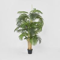 Palm Tree Real Touch 190cm