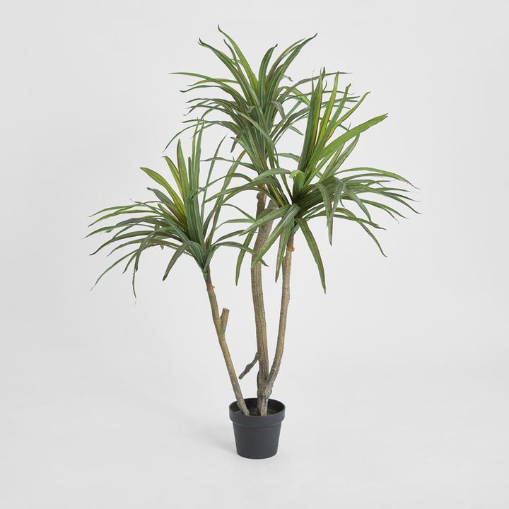Yucca Tree Real Touch 1.25m