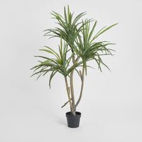 Yucca Tree Real Touch 1.25m