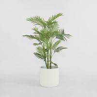 Palm Tree Real Touch 1.25m