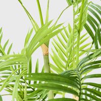 Palm Tree Real Touch 1.25m