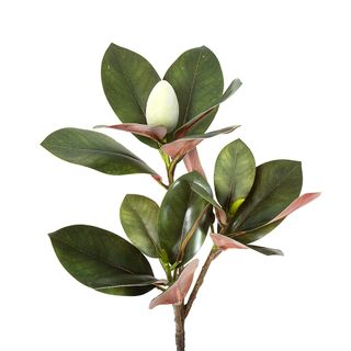 Magnolia Bud 85cm Green