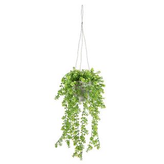 Hanging Geranium Leaves in Paper Pot 40cm