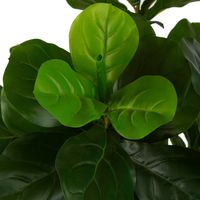 Fiddle Leaf Tree 175cm