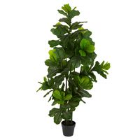 Fiddle Leaf Tree 175cm