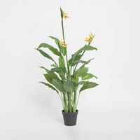 Flowering Bird of Paradise 150cm