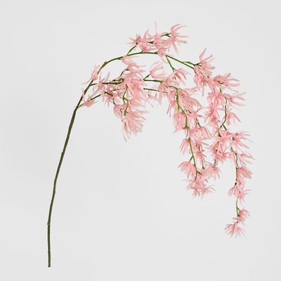 Orchid Spider Hanging 1.1m Pink