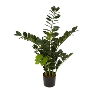 Smargago Plant 1.1m