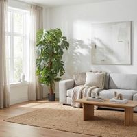 Split-Leaf Philodendron 1.5m