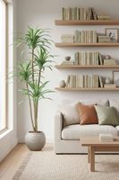 Variegated Dracaena 1.6m