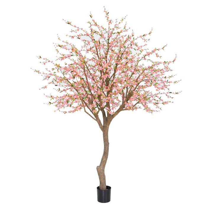 Giant Cherry Blossom Tree 2.4m