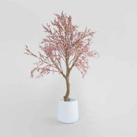 Giant Cherry Blossom Tree 2.4m