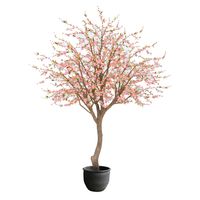 Giant Cherry Blossom Tree 2.4m