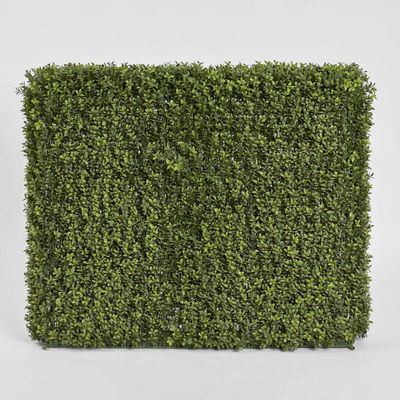 Boxwood Hedge 75x100cm