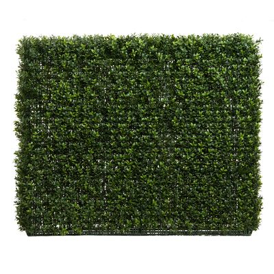 Boxwood Hedge 75x100cm