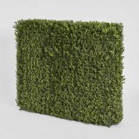 Boxwood Hedge 75x100cm