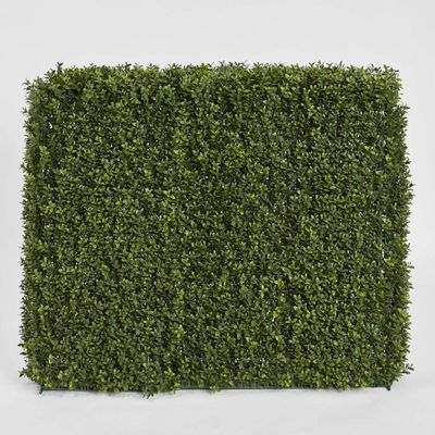 Boxwood Hedge 93x100cm