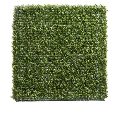 Boxwood Hedge 93x100cm