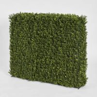 Boxwood Hedge 93x100cm