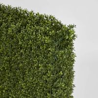Boxwood Hedge 93x100cm