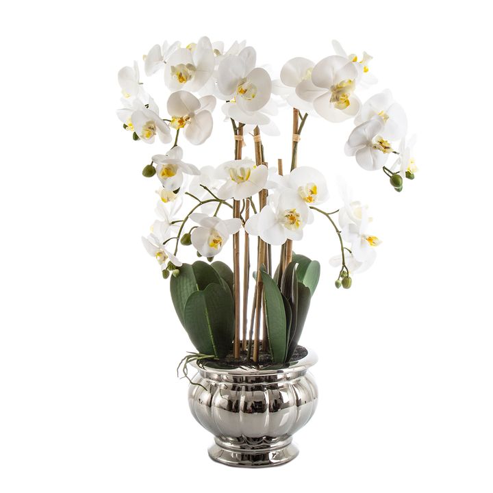 Potted Orchid in Silver Bowl Large 68cm White