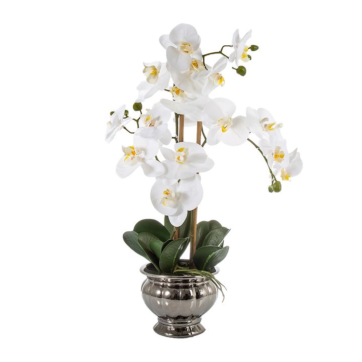 Potted Orchid in Silver Bowl Small 60cm White