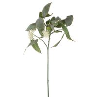 Eucalyptus Flower Spray 70cm